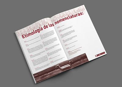 Magazine 12